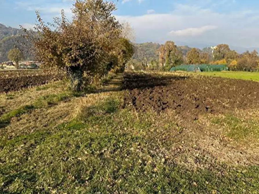 Immagine 1 di Terreno agricolo in vendita  in Via Ponte Cattaneo a Marostica