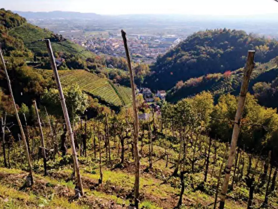 Immagine 1 di Terreno agricolo in vendita  in Via Borgata Grotta a Farra Di Soligo