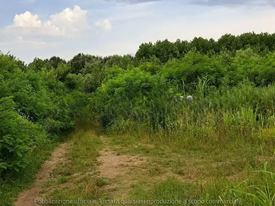 Immagine 1 di Terreno agricolo in vendita  in Comune di Cordenons a Cordenons