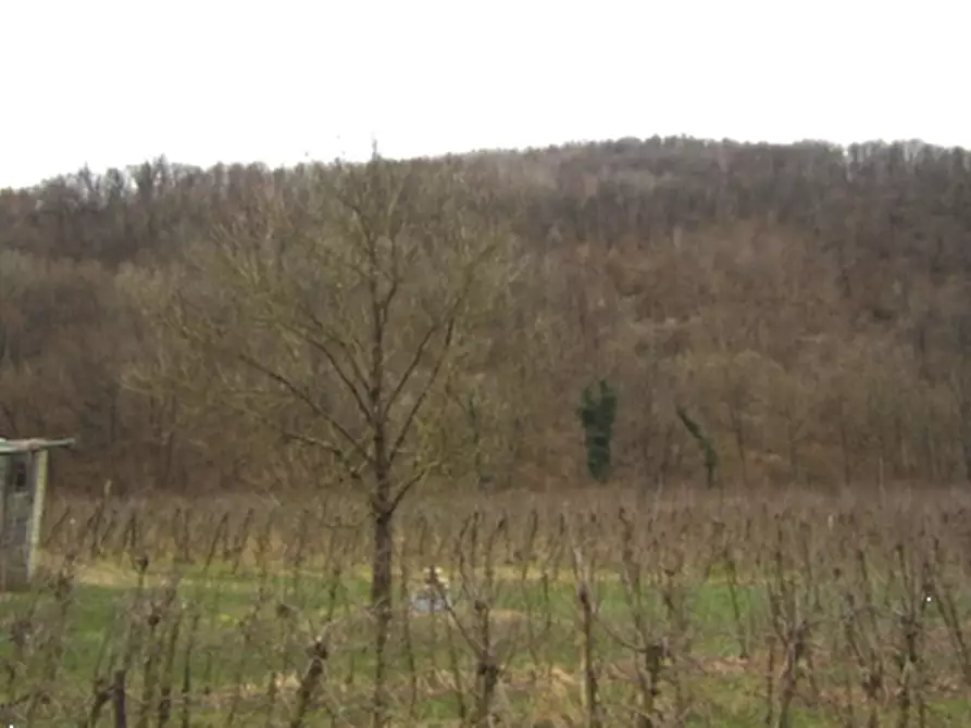 Immagine 1 di Terreno agricolo in vendita  in Località San Pietro al Natisone a San Pietro Al Natisone