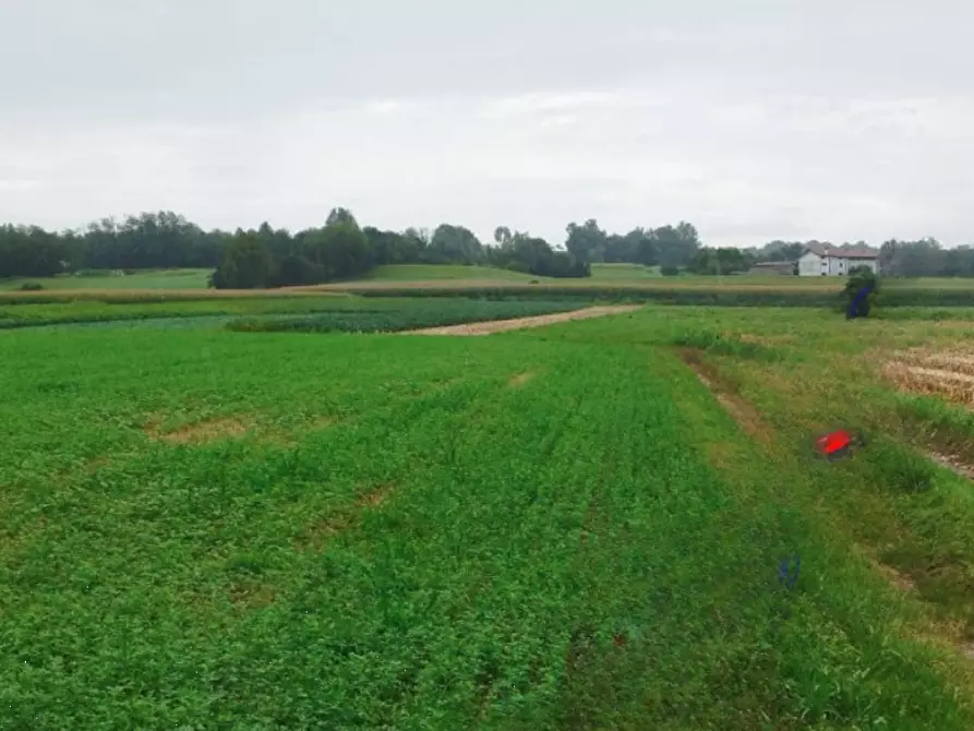 Immagine 1 di Terreno agricolo in vendita  in Localita' Collosomano a Treppo Grande