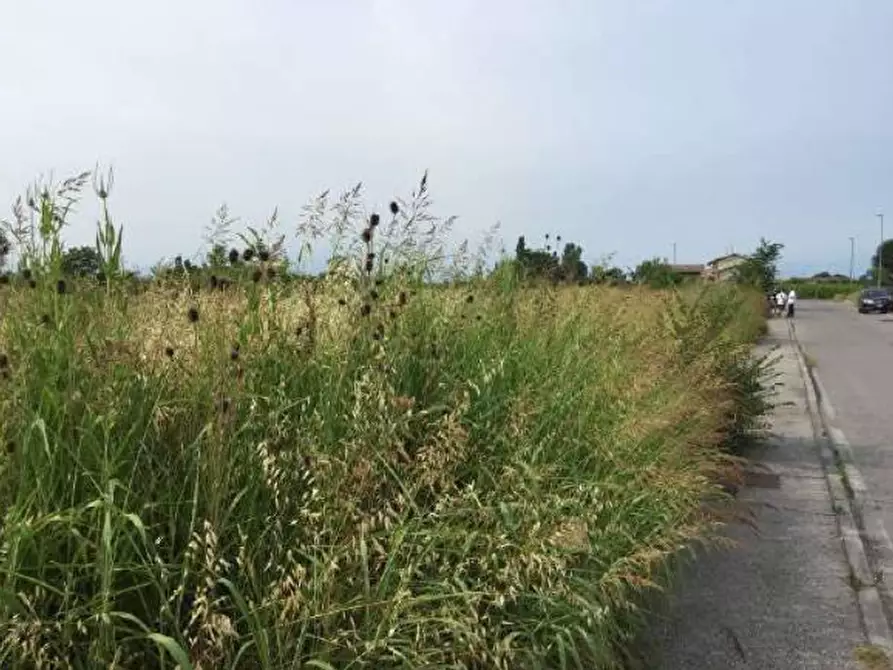 Immagine 1 di Terreno edificabile in vendita  in via Fortunata Sposetti a Desenzano Del Garda