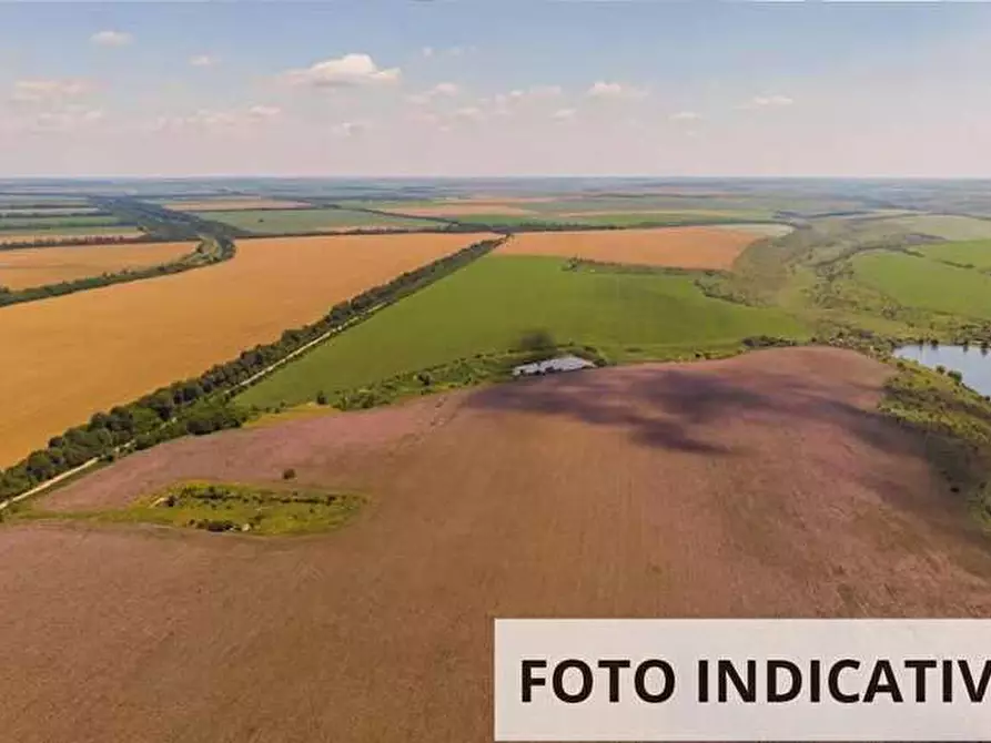 Immagine 1 di Terreno agricolo in vendita  in Via Pranolz a Borgo Valbelluna