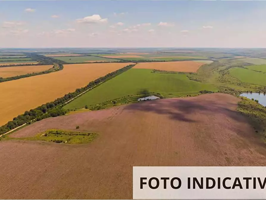 Immagine 1 di Terreno agricolo in vendita  in Via Lavinia Fontana a Malalbergo