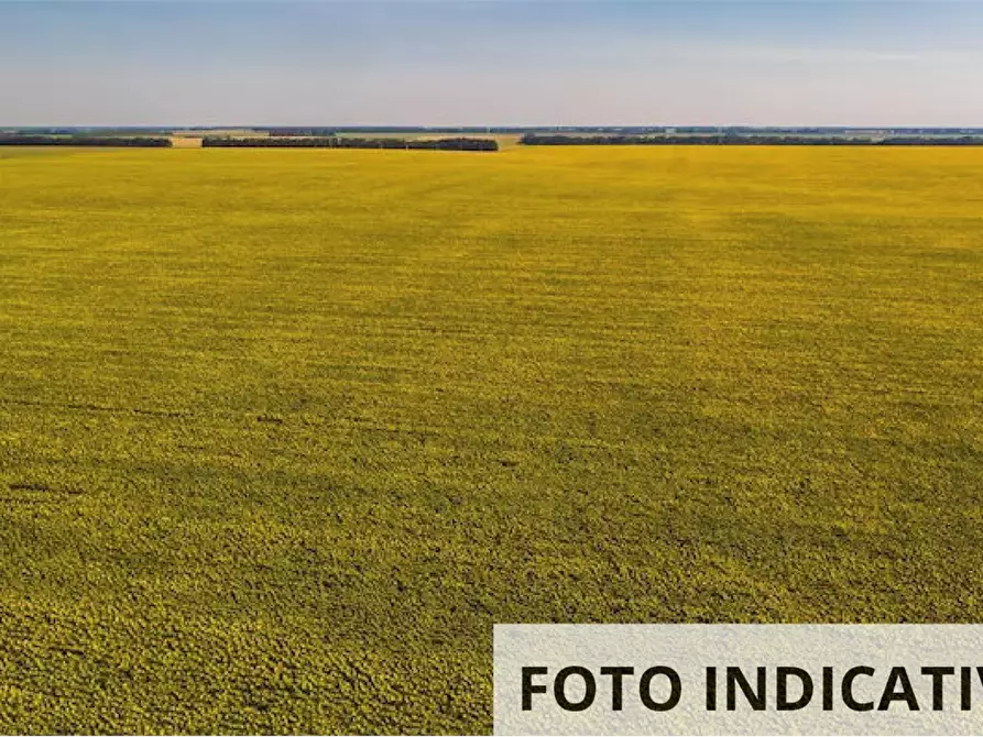 Immagine 1 di Terreno agricolo in vendita  in Località Navolè a Gorgo Al Monticano