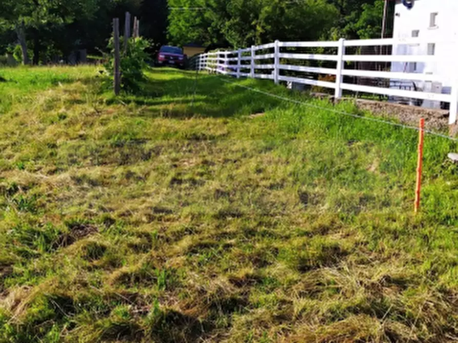 Immagine 1 di Terreno agricolo in vendita  in Reg. Colle Vigna a Corio