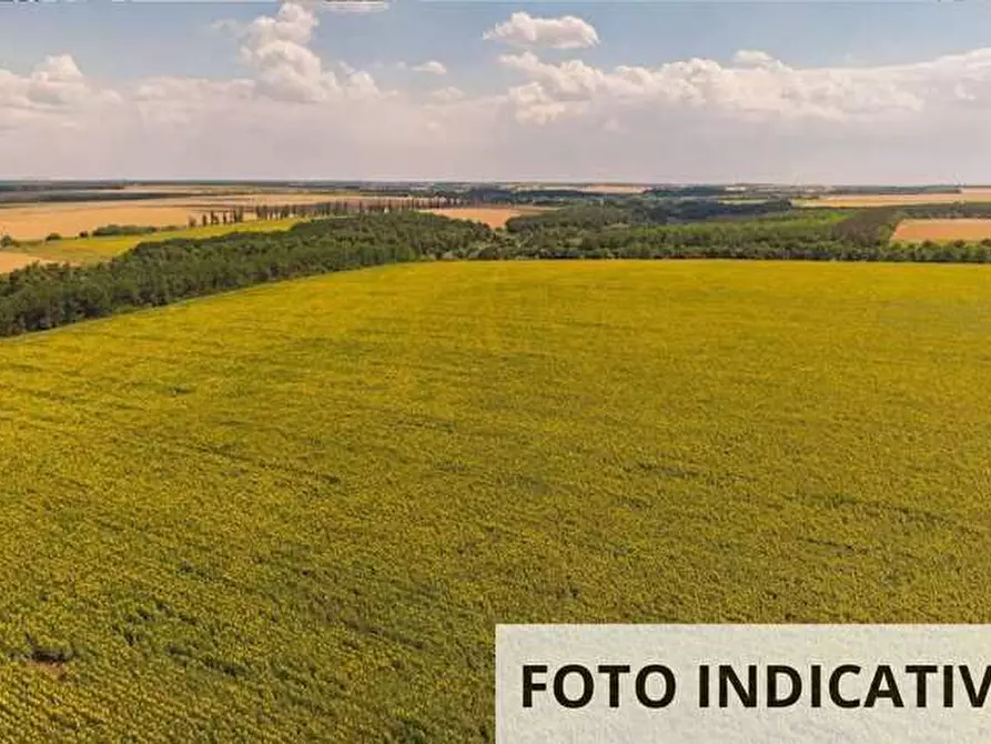 Immagine 1 di Terreno agricolo in vendita  in Località Formigine a Formigine