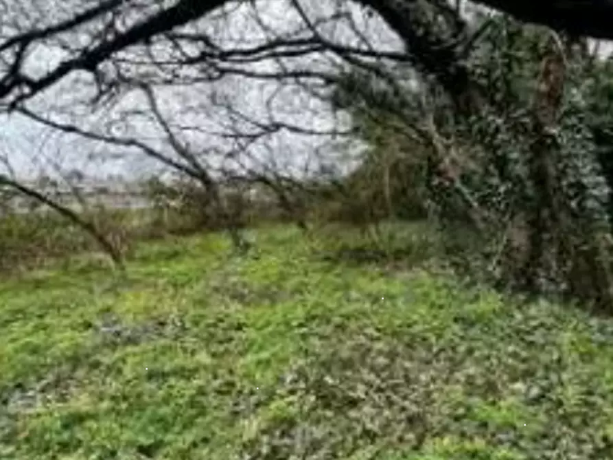 Immagine 1 di Terreno agricolo in vendita  in Via Grandi  a Gallarate