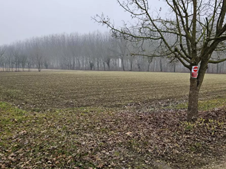 Terreno agricolo in vendita in Via Scaramuzza a Venezia