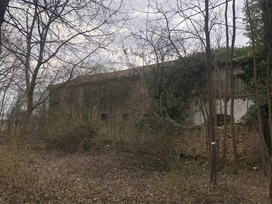 Immagine 6 di Rustico / casale in vendita  in Via Comunale di Faè a Oderzo
