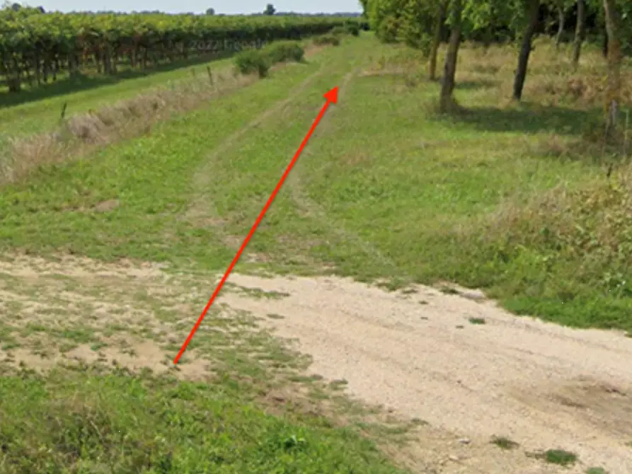 Immagine 11 di Rustico / casale in vendita  in Via Comunale di Faè a Oderzo