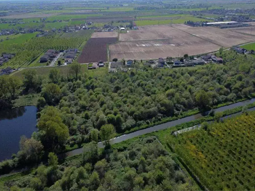 Immagine 2 di Terreno agricolo in vendita  in Località San Vito a Cerea