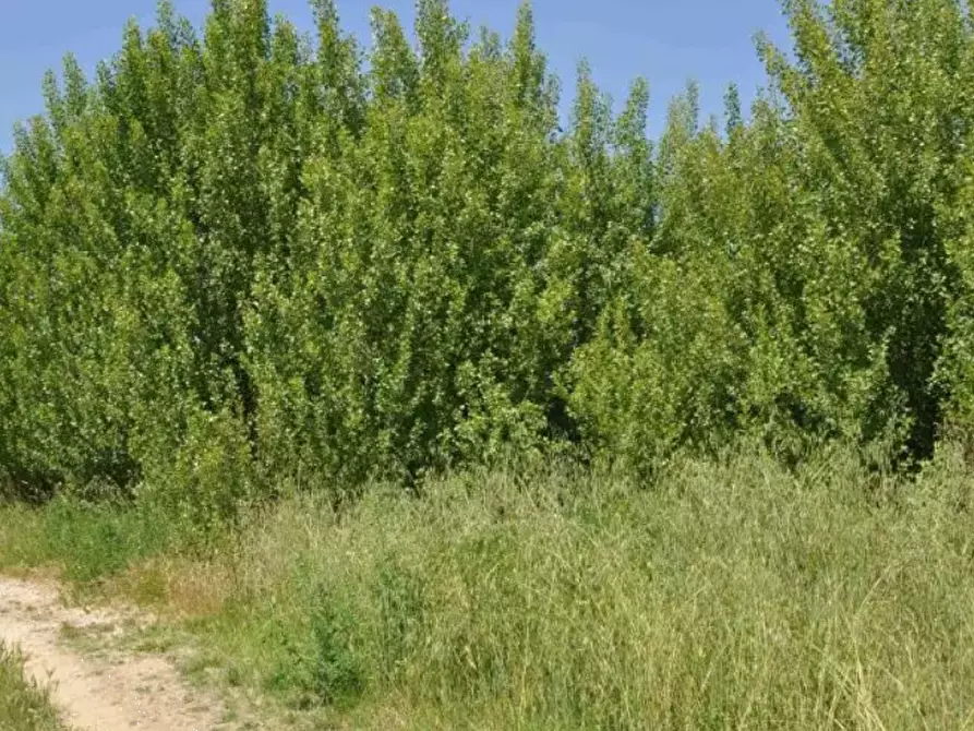 terreno edificabile in vendita ad Assisi in zona Castelnuovo