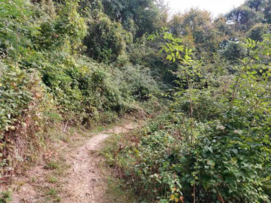 terreno agricolo in vendita a Pradalunga