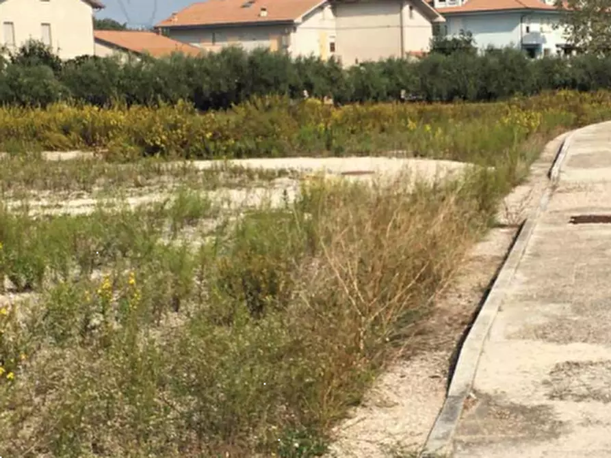Immagine 4 di Terreno edificabile in vendita  in via Roma  a Montecosaro