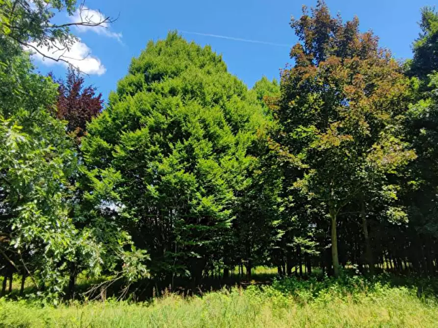 terreno agricolo in vendita a Treviso