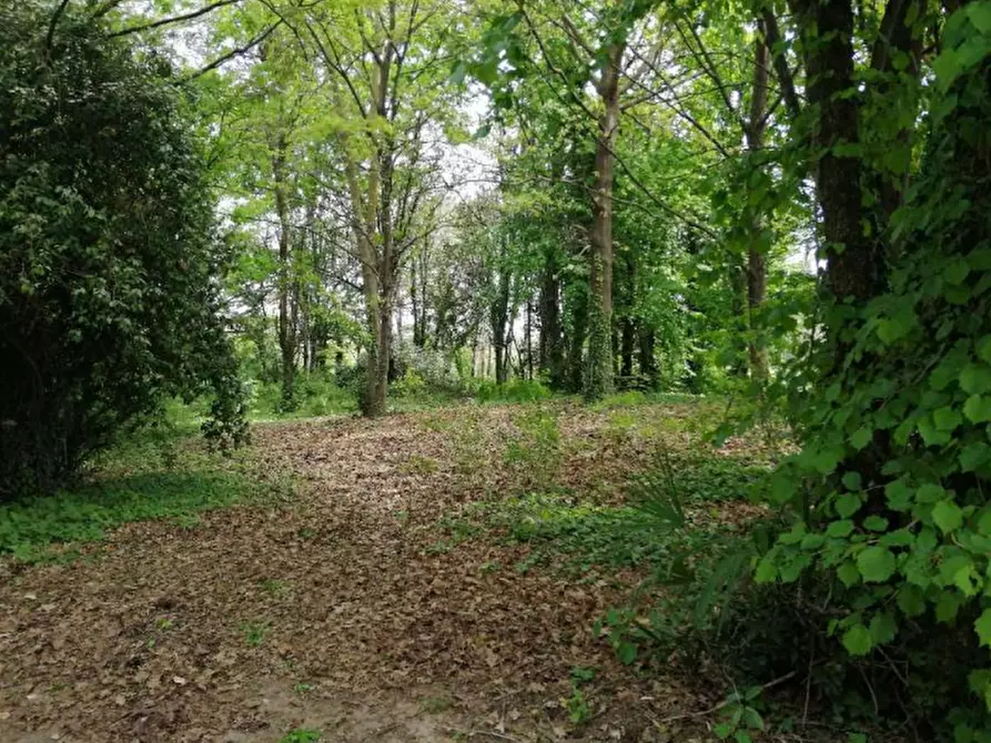 terreno agricolo in vendita a Treviso