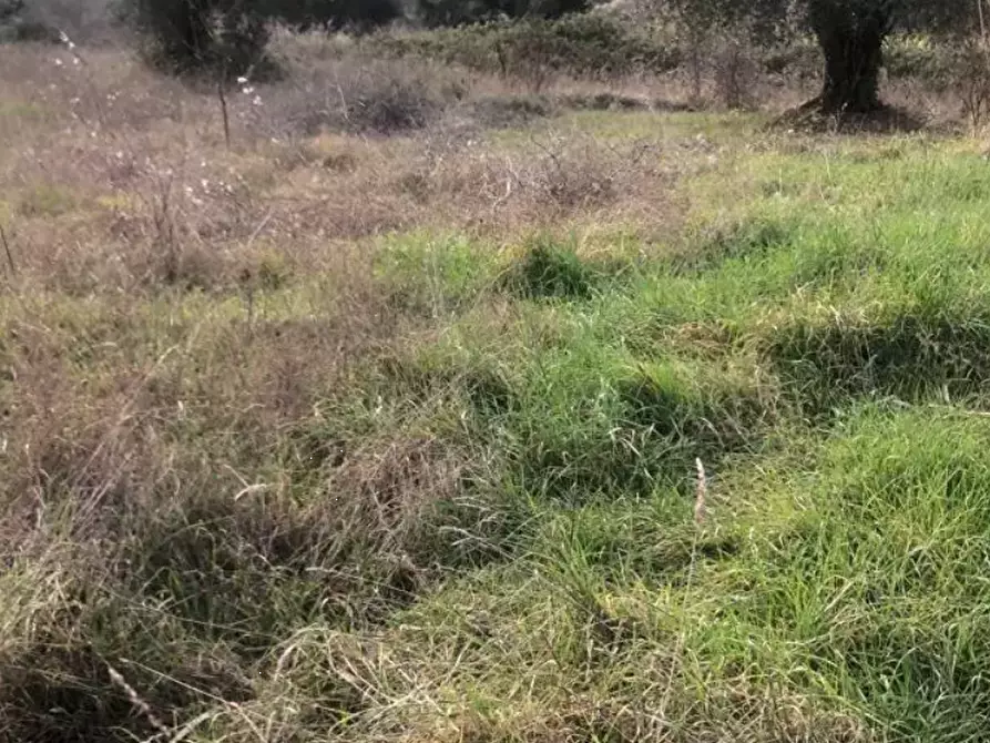 terreno edificabile in vendita a Gradara in zona Granarola
