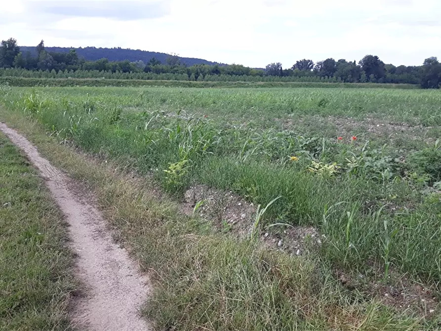 terreno agricolo in vendita a Farra d'Isonzo