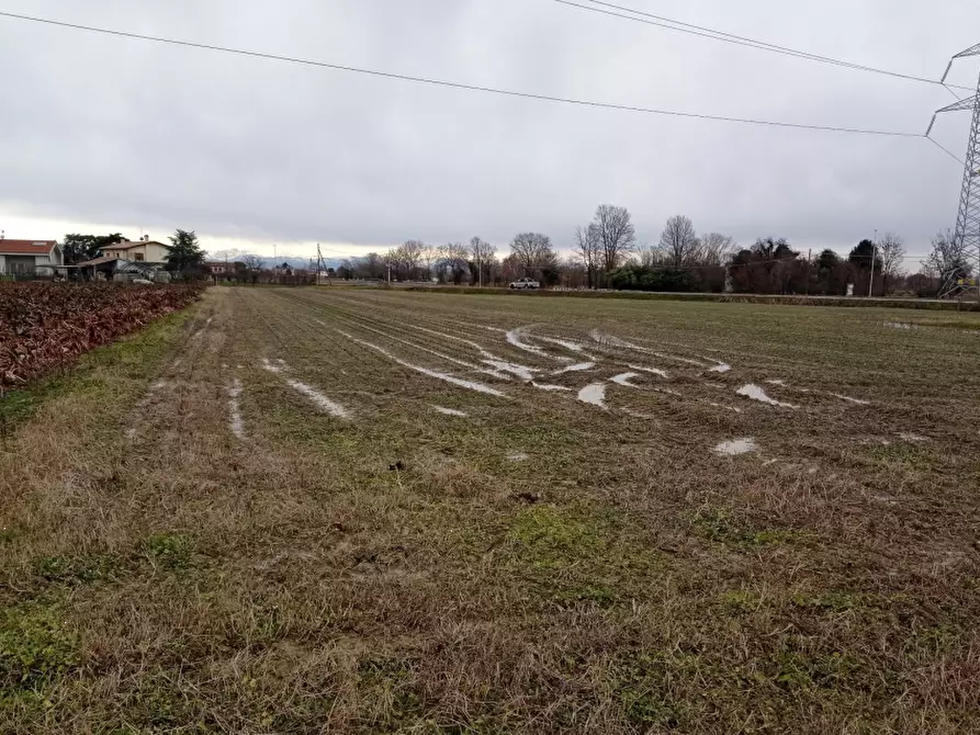 terreno agricolo in vendita a Zero Branco