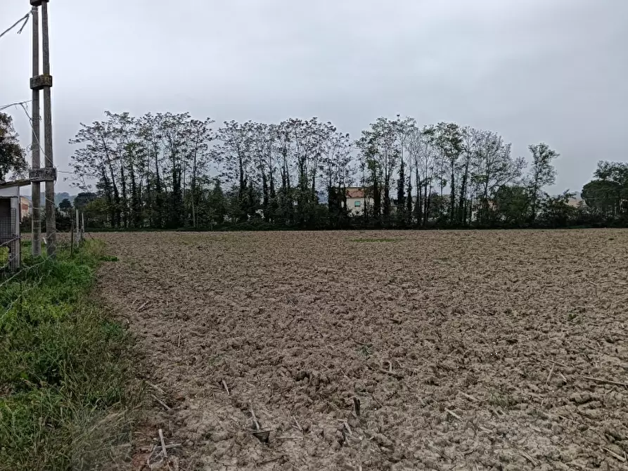 terreno edificabile in vendita ad Ostra