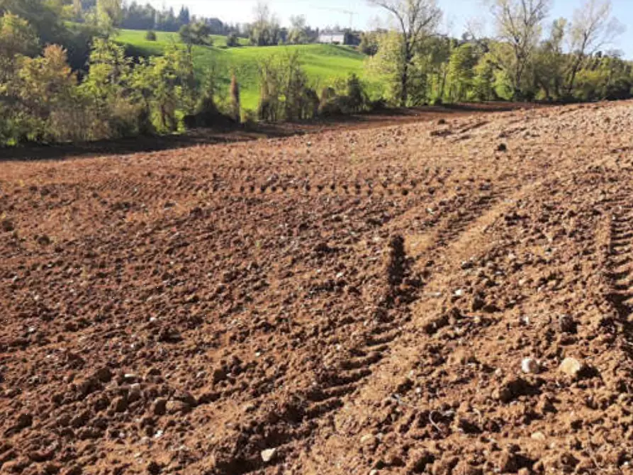 terreno agricolo in vendita ad Agazzano