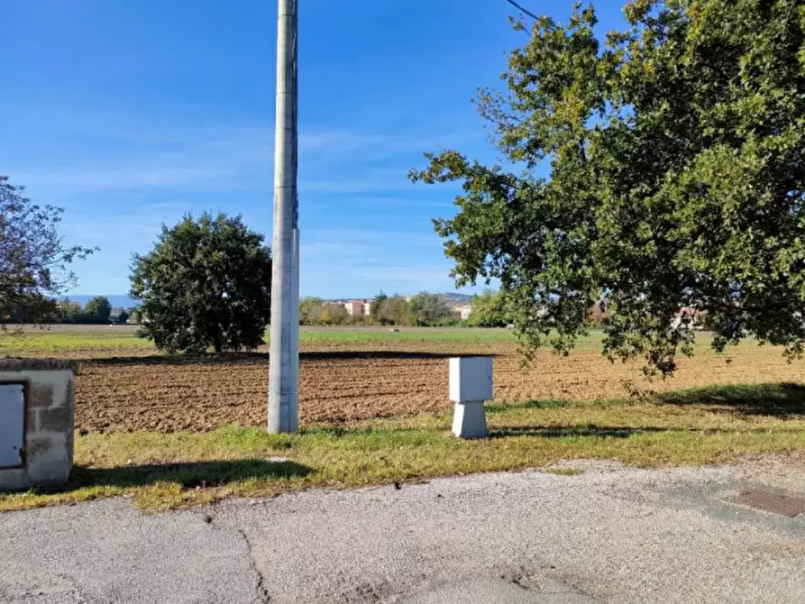 terreno agricolo in vendita a Cartoceto