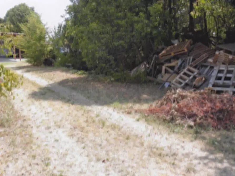 Immagine 5 di Stabile in vendita  in Via Casaretta a Cittadella