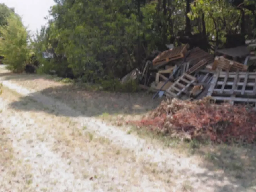 Immagine 6 di Stabile in vendita  in Via Casaretta a Cittadella