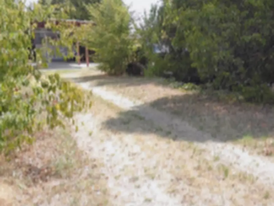 Immagine 7 di Stabile in vendita  in Via Casaretta a Cittadella