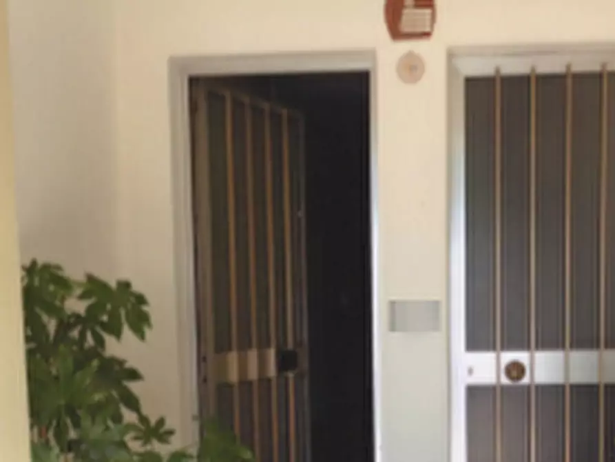 Immagine 8 di Stabile in vendita  in Via Casaretta a Cittadella