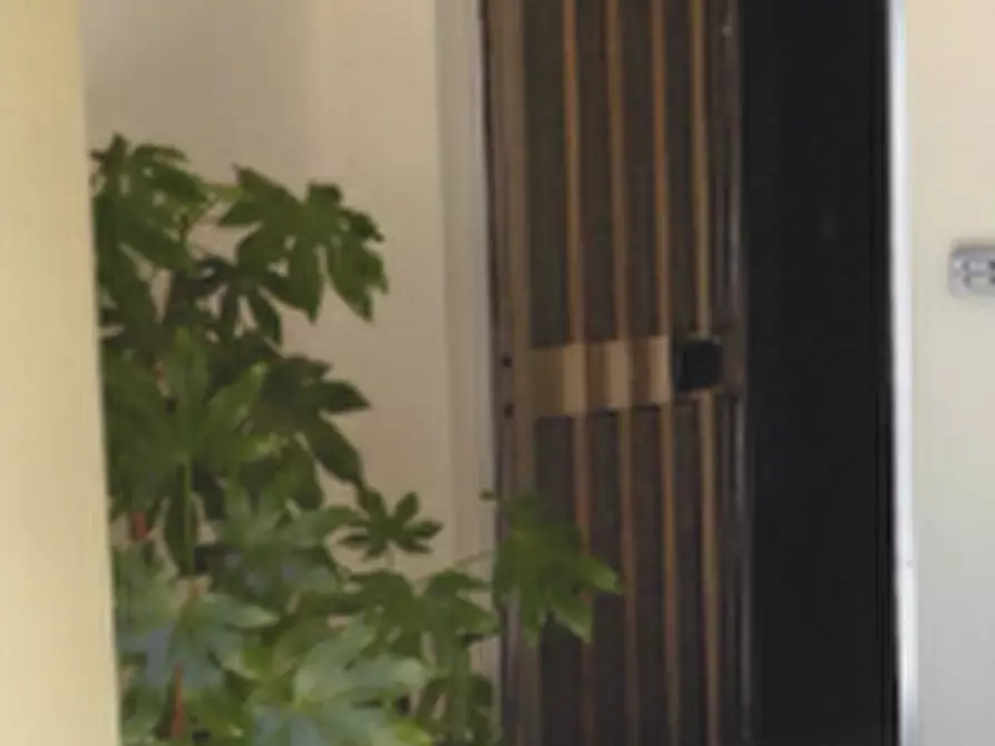 Immagine 11 di Stabile in vendita  in Via Casaretta a Cittadella