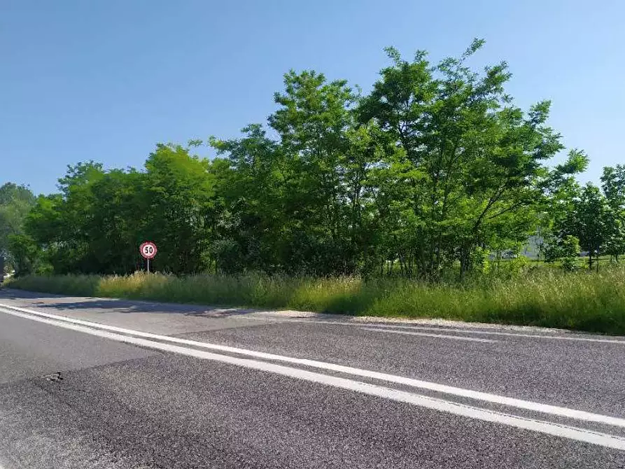 terreno agricolo in vendita a San Donà di Piave