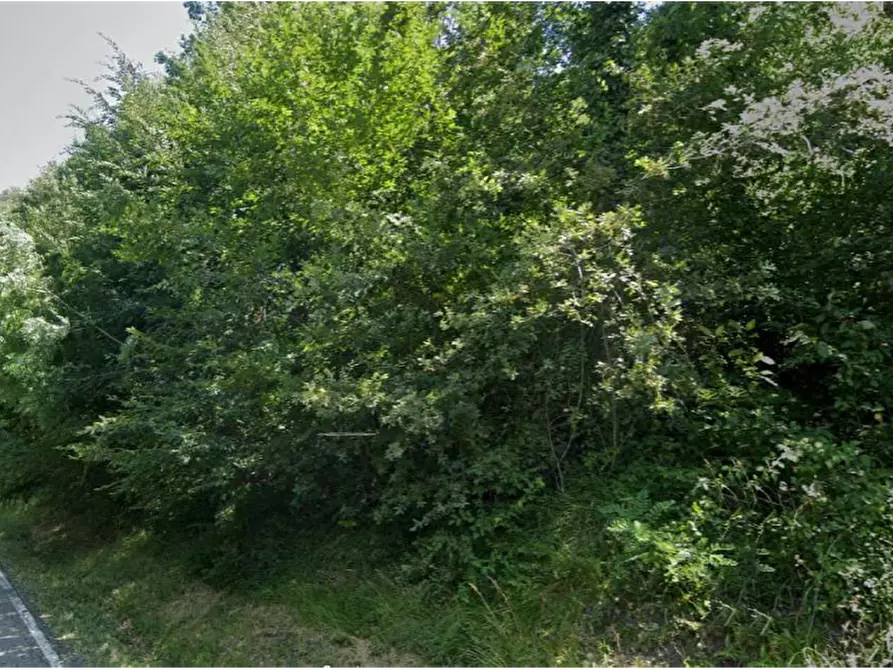 terreno agricolo in vendita a Loiano in zona Anconella
