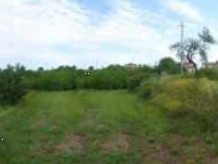 Immagine 2 di Terreno edificabile in vendita  in Via del Bruno a Santa Maria A Monte