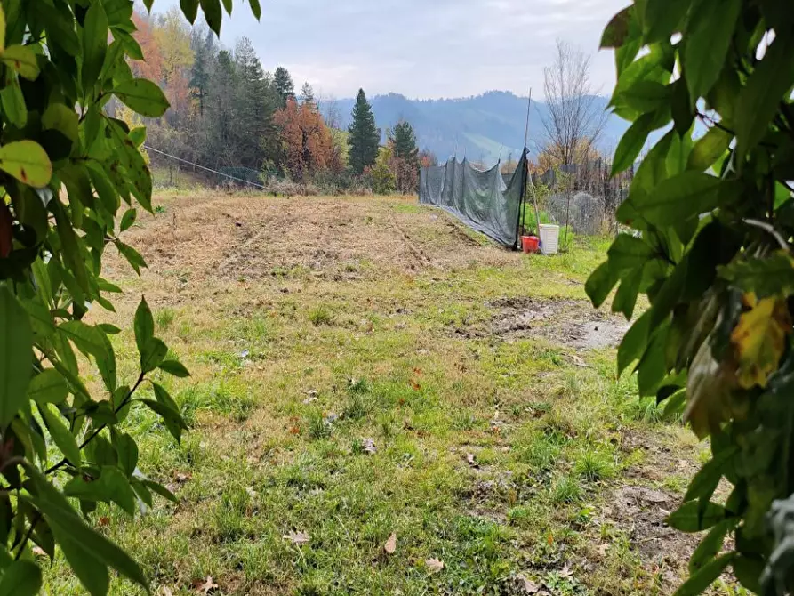 Immagine 1 di Terreno agricolo in vendita  in Via Rimondello a Monteveglio