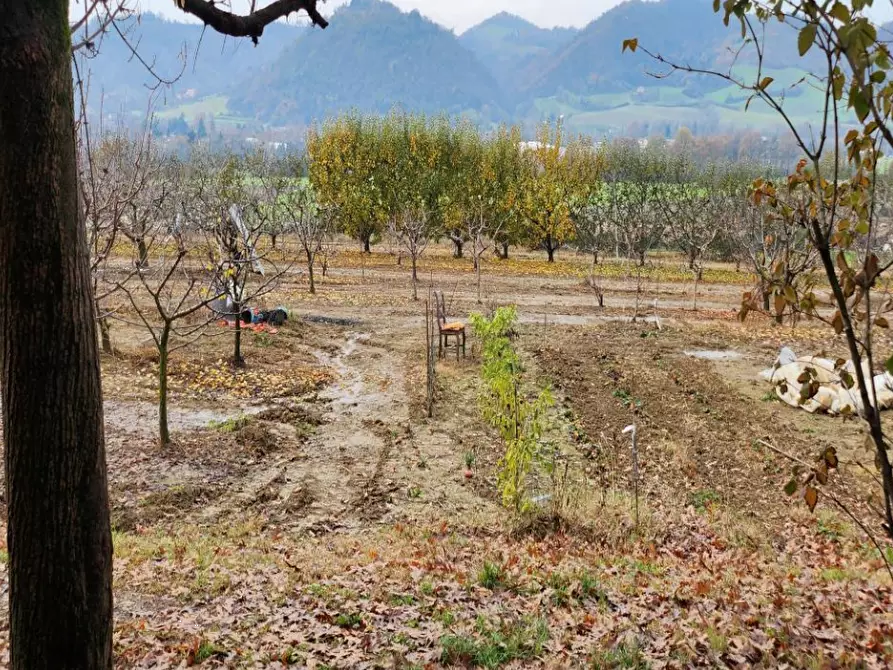 Immagine 2 di Terreno agricolo in vendita  in Via Rimondello a Monteveglio