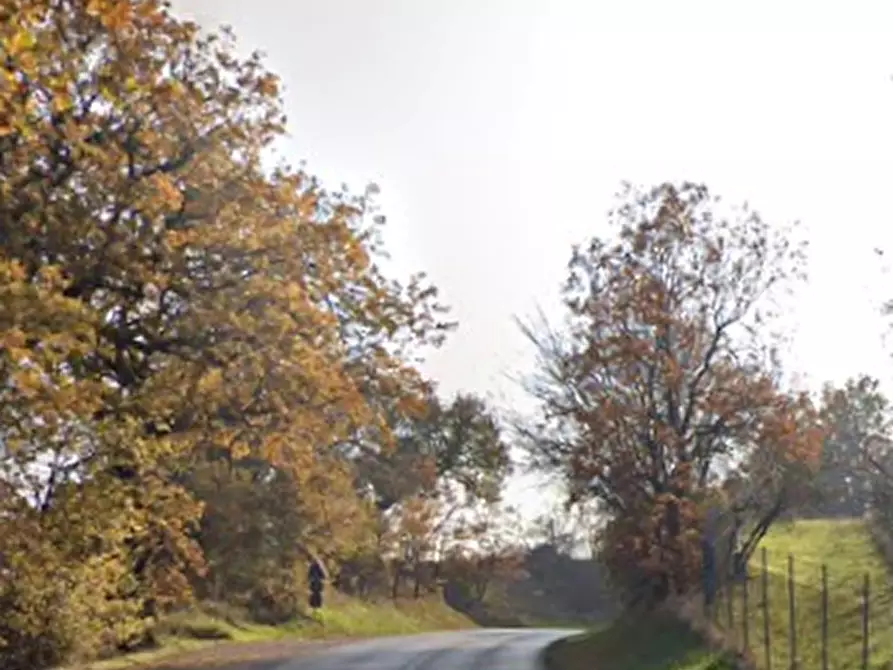 Immagine 10 di Appartamento in vendita  in Strada Cascinare  a Sant'elpidio A Mare