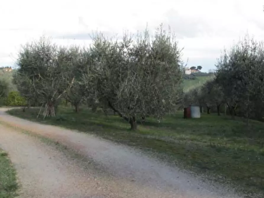Immagine 10 di Casa indipendente in vendita  in Strada Monte Travaglioso a Sant'elpidio A Mare