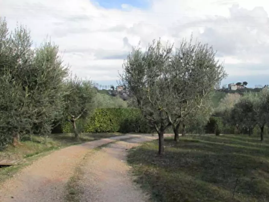 Immagine 11 di Casa indipendente in vendita  in Strada Monte Travaglioso a Sant'elpidio A Mare