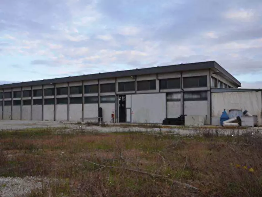 Immagine 1 di Appartamento in vendita  in via del Santo a San Giorgio Delle Pertiche