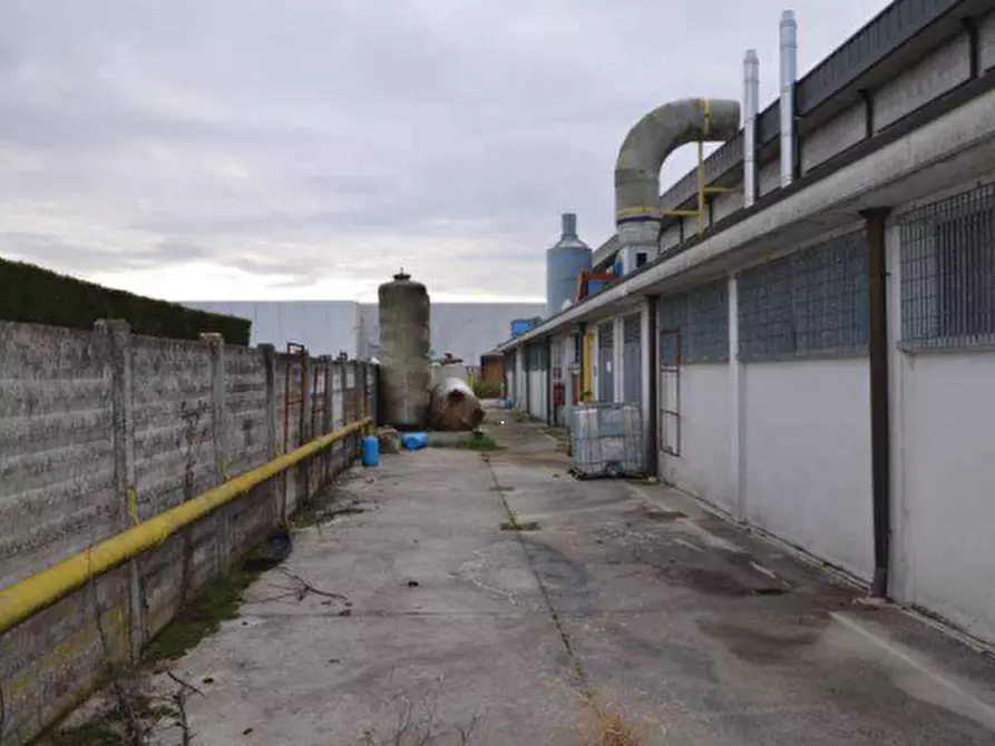 Immagine 4 di Appartamento in vendita  in via del Santo a San Giorgio Delle Pertiche