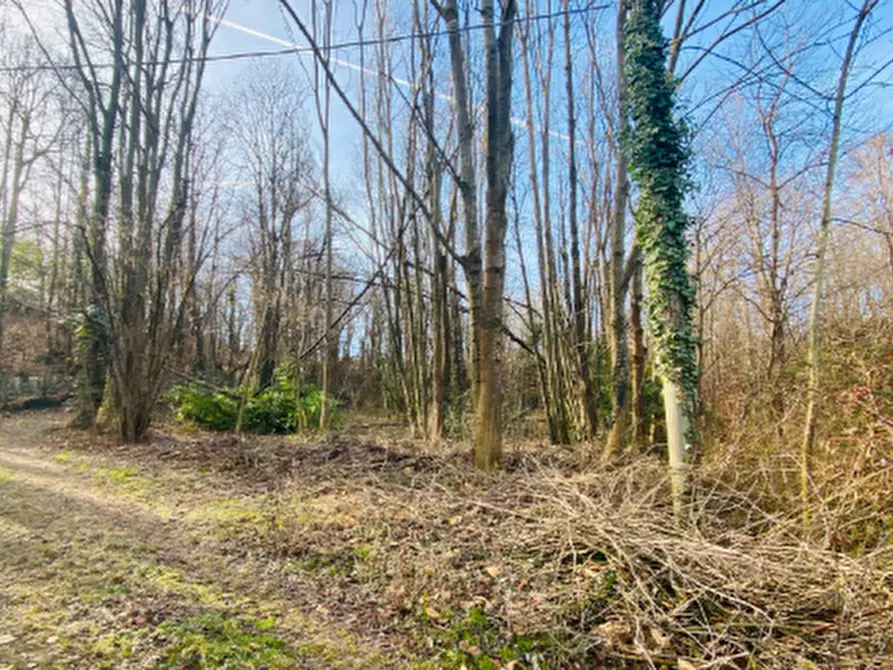 terreno agricolo in vendita a Rosta