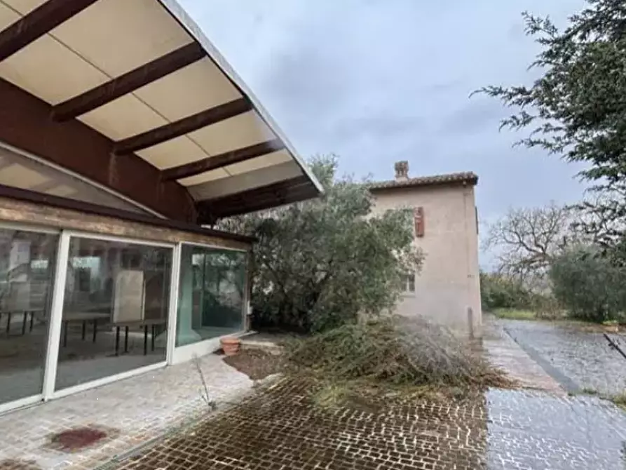 Immagine 15 di Hotel in vendita  in Via Palazzina a Sant'ippolito