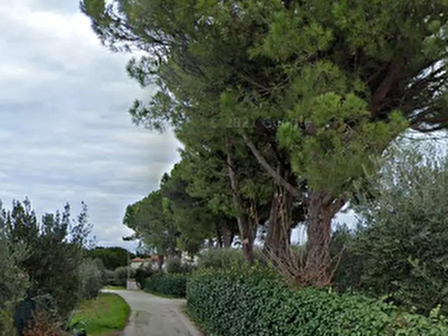 Immagine 5 di Appartamento in vendita  in Str. Lungo Tenna a Sant'elpidio A Mare