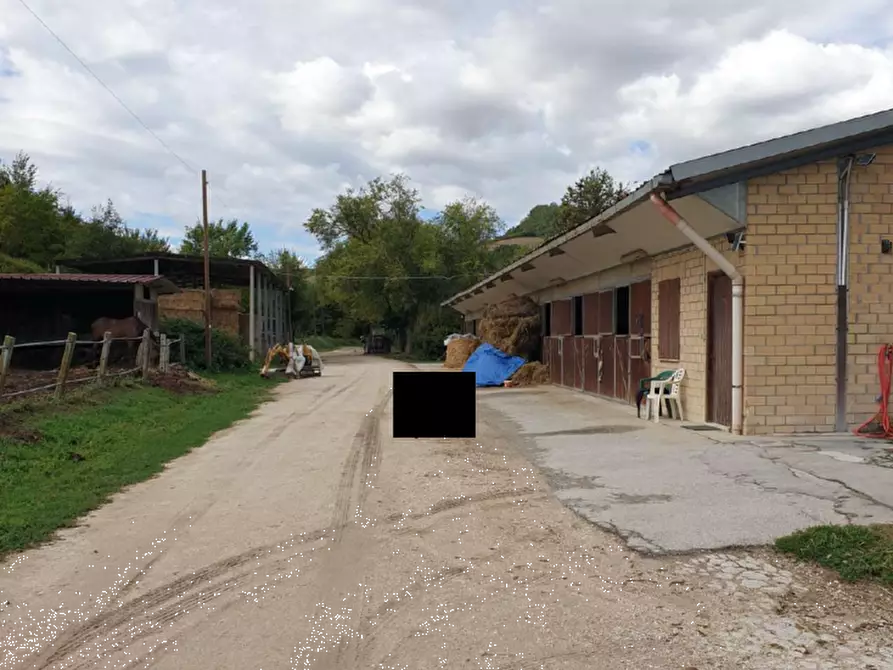 Immagine 1 di Capannone industriale in vendita  in Via C. da Lavandara a Fermo