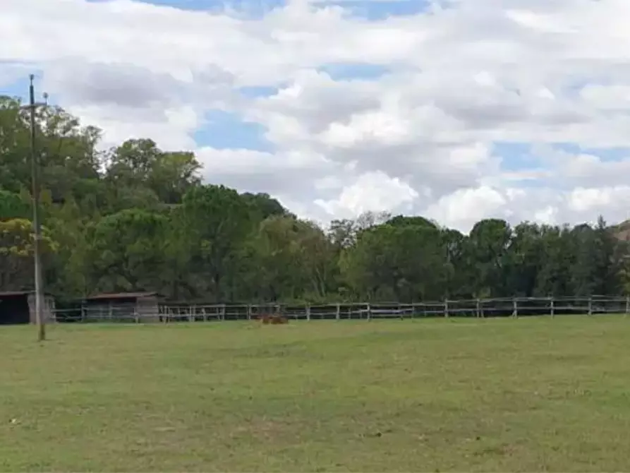 Immagine 3 di Capannone industriale in vendita  in Via C. da Lavandara a Fermo