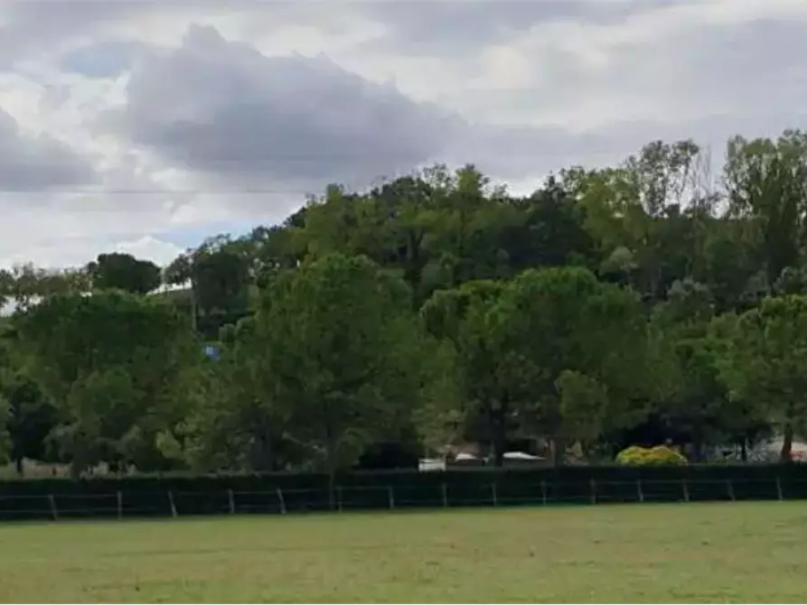 Immagine 4 di Capannone industriale in vendita  in Via C. da Lavandara a Fermo