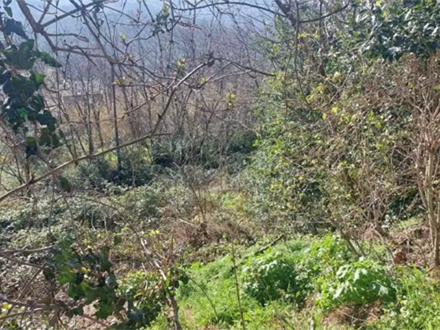 Immagine 2 di Terreno edificabile in vendita  in Via Serra a Vallefoglia