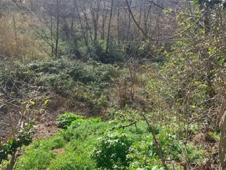 Immagine 1 di Terreno edificabile in vendita  in Via Serra a Vallefoglia